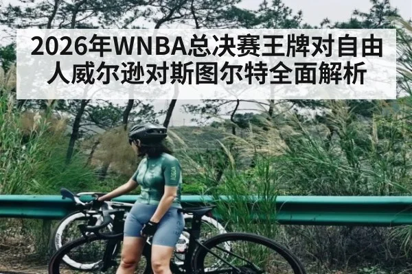 2026年WNBA总决赛王牌对自由人威尔逊对斯图尔特全面解析